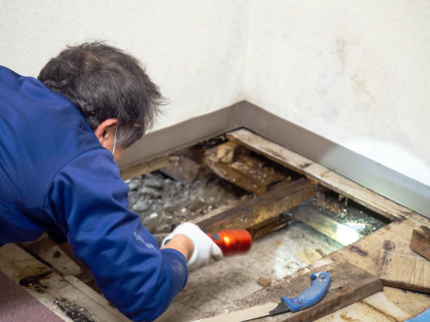 Best Toxic Mold Removal  in Madera Acres, CA