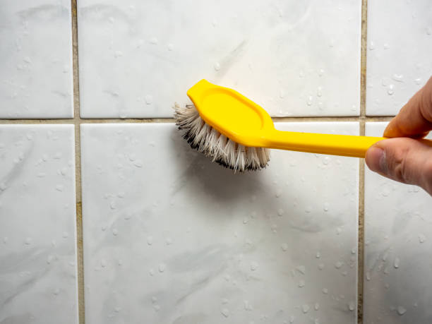 Best Mold Removal Company Near Me  in Madera Acres, CA