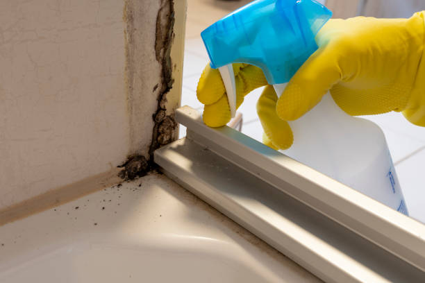 Best Residential Mold Removal  in Madera Acres, CA