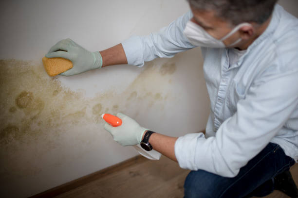 Best Office Mold Removal Services  in Madera Acres, CA