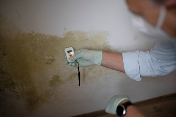 Best Attic Mold Removal  in Madera Acres, CA