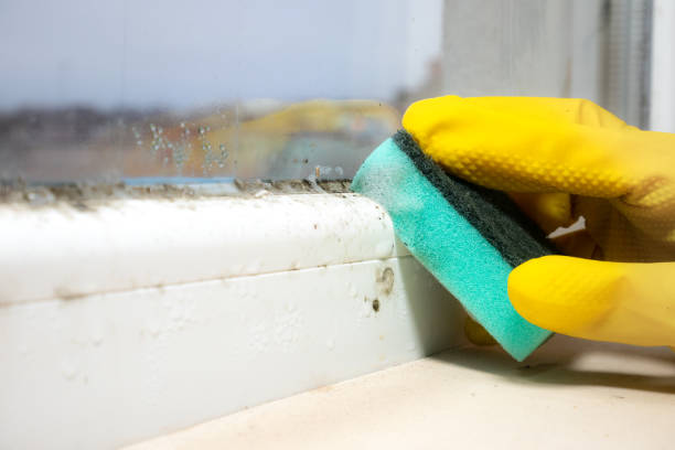 Best Home Mold Removal  in Madera Acres, CA