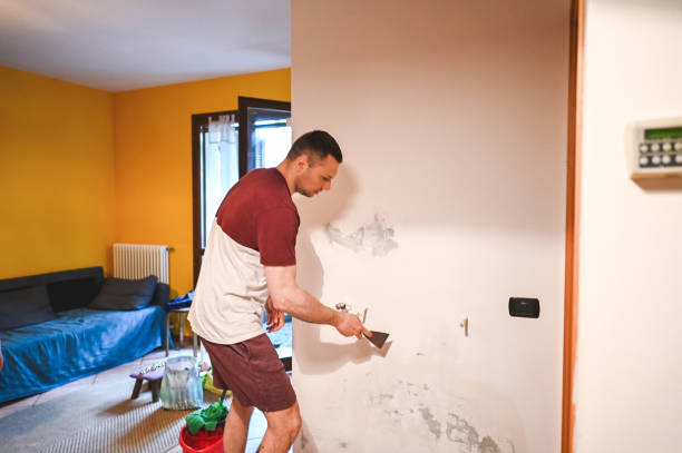 Best Same-Day Mold Removal  in Madera Acres, CA