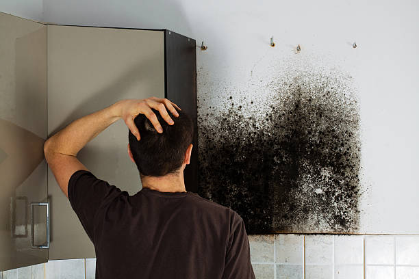 Attic Mold Removal in Madera Acres, CA