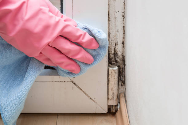 Best Toxic Mold Removal  in Madera Acres, CA