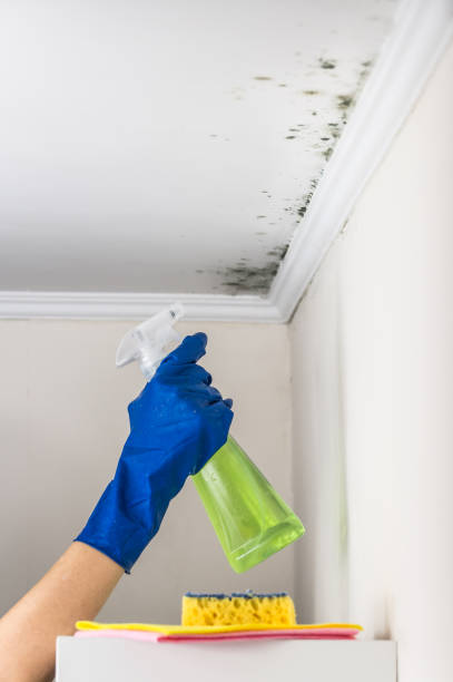 Best Attic Mold Removal  in Madera Acres, CA